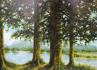 Bäume am See